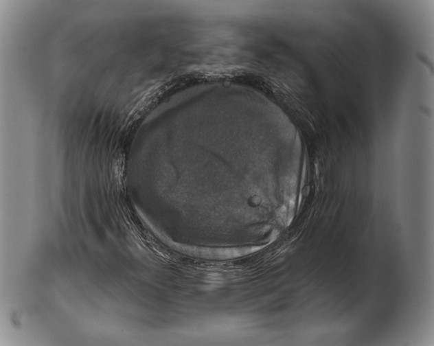 X0000101971300200808081542
