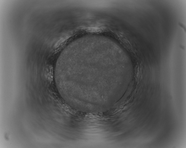 X0000101971301200808081542