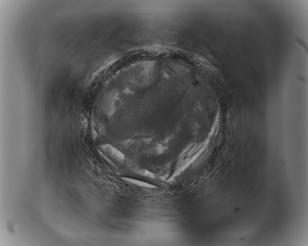 X0000101971302200808081542