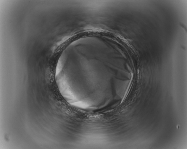 X0000101971303200808081542