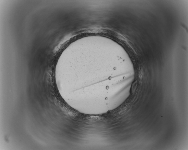 X0000101971304200808081542