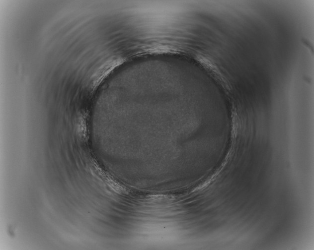 X0000101971305200808081542