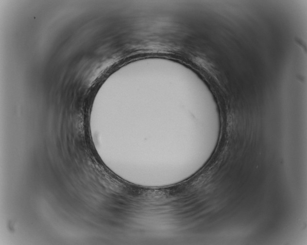 X0000101971307200808081542