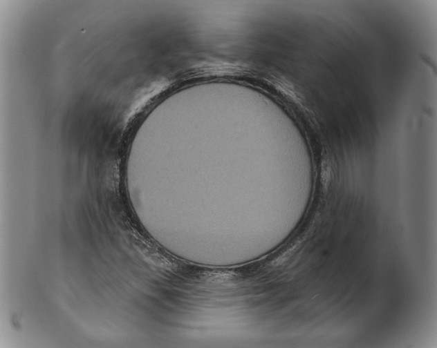 X0000101971309200808081542