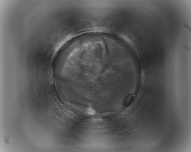 X0000101971310200808081542