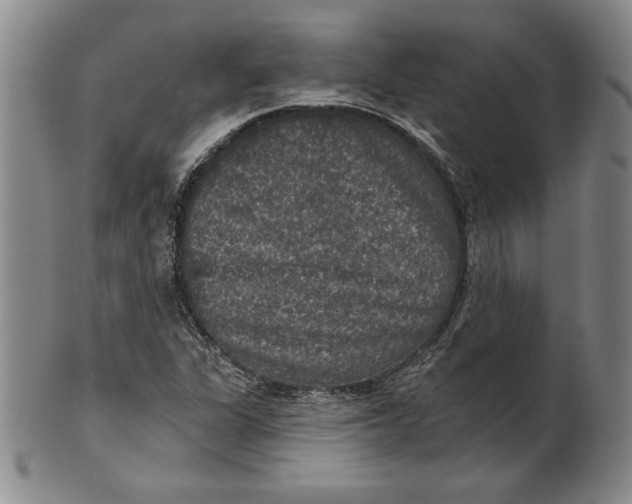 X0000101971311200808081542