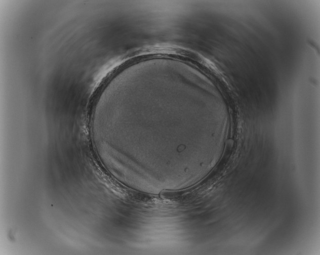 X0000101971312200808081542