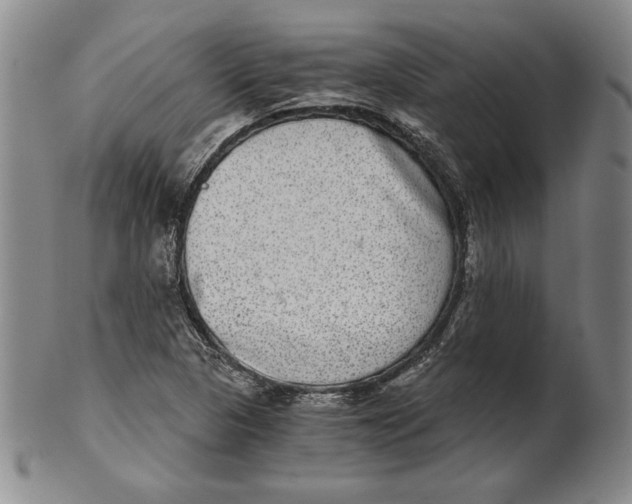 X0000101971313200808081542