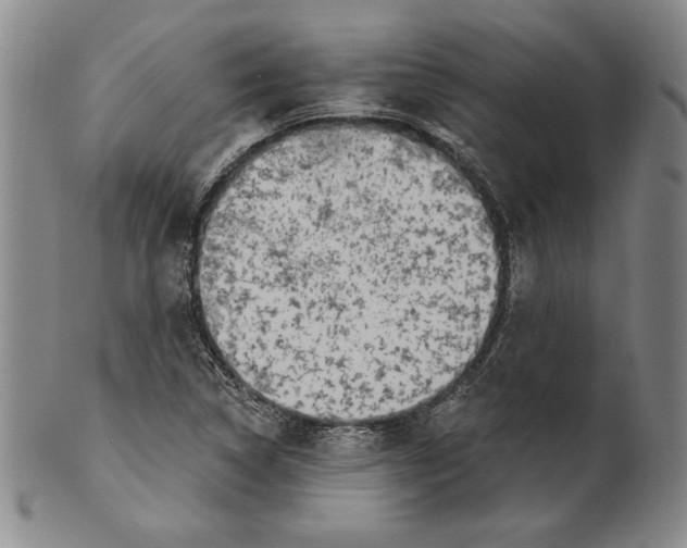 X0000101971314200808081542