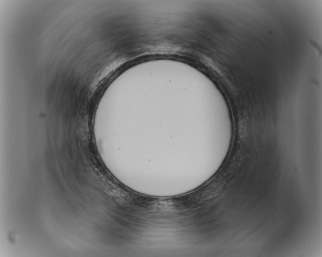 X0000101971315200808081542