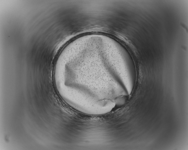 X0000101971316200808081542
