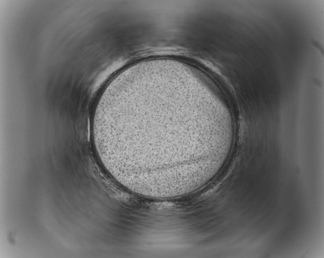 X0000101971317200808081542