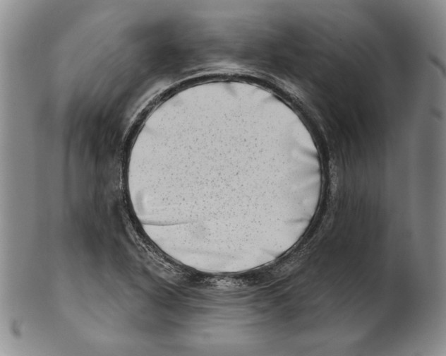 X0000101971318200808081542