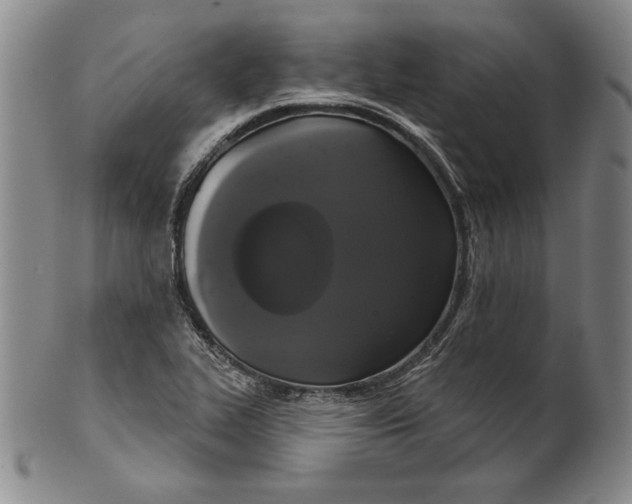 X0000101971319200808081542