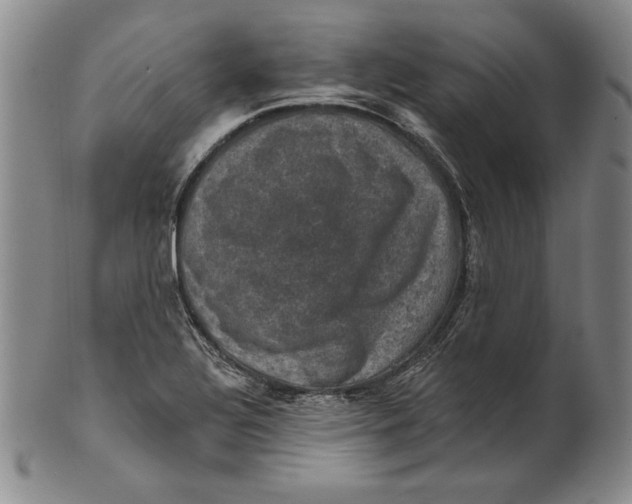 X0000101971320200808081542