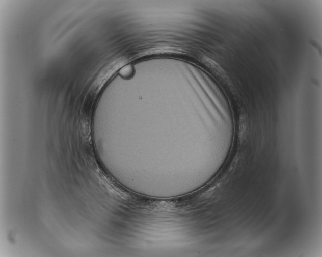 X0000101971321200808081542