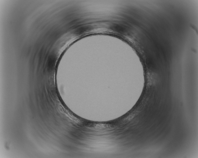X0000101971322200808081542