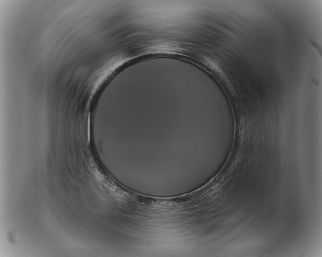 X0000101971323200808081542