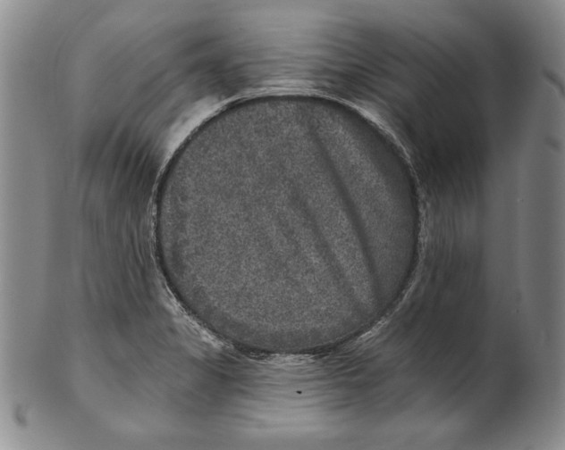 X0000101971325200808081542