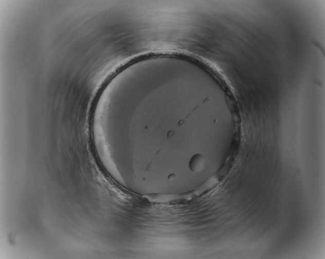 X0000101971327200808081542