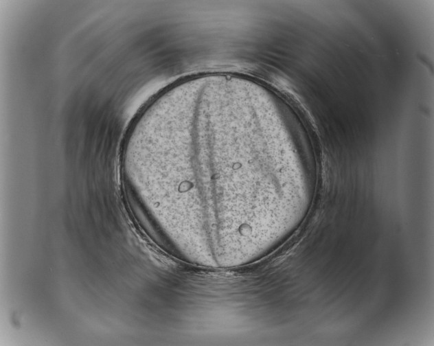 X0000101971328200808081542