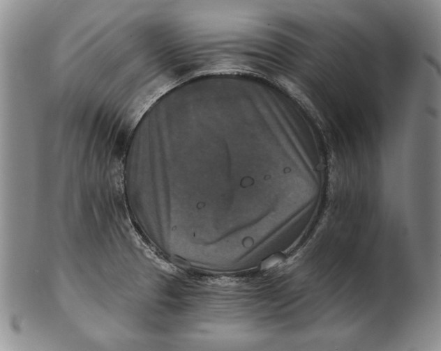 X0000101971329200808081542