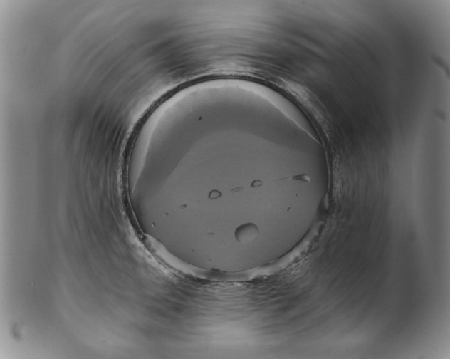 X0000101971331200808081542