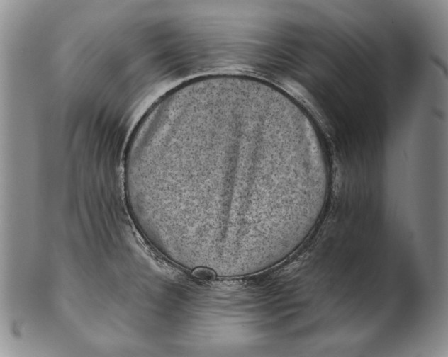 X0000101971332200808081542