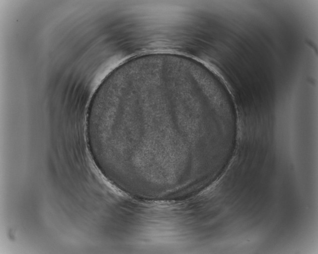 X0000101971333200808081542