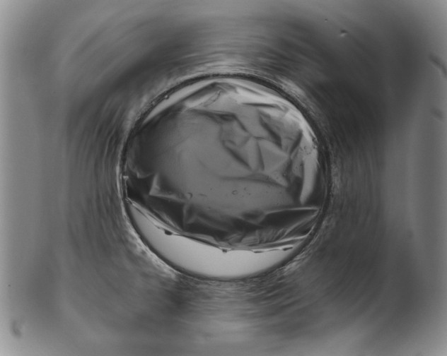 X0000101971334200808081542