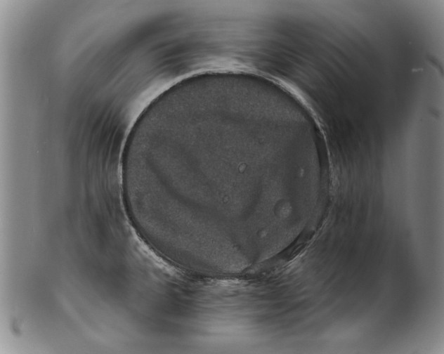 X0000101971335200808081542