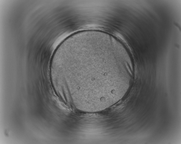 X0000101971336200808081542
