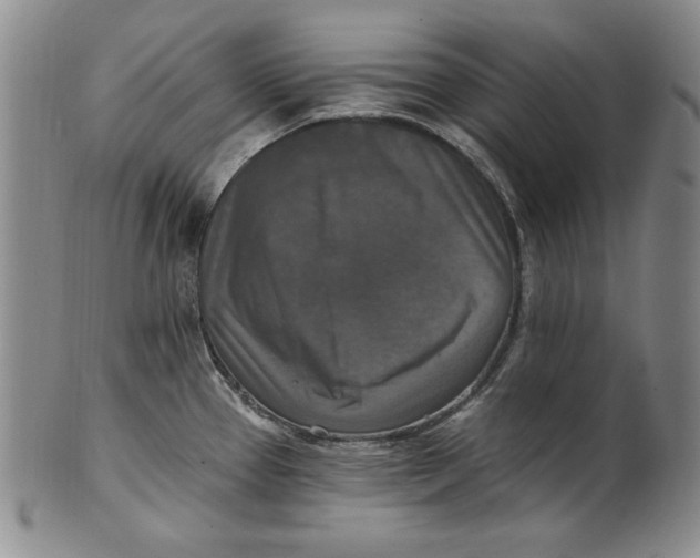 X0000101971337200808081542