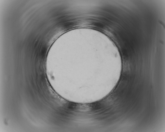 X0000101971338200808081542