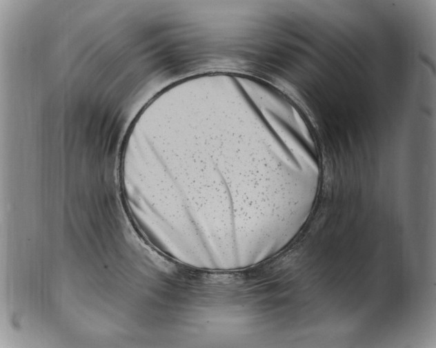 X0000101971339200808081542