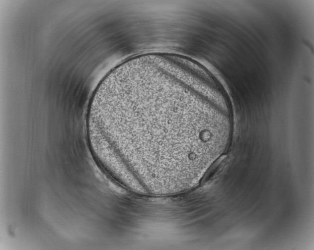 X0000101971341200808081542