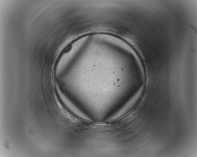 X0000101971342200808081542