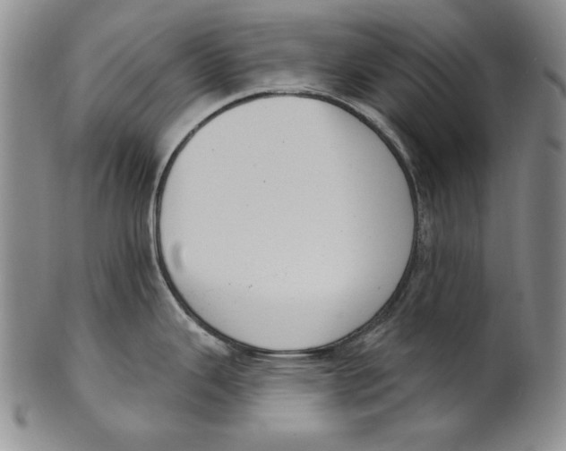 X0000101971343200808081542