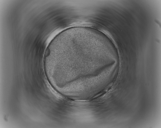 X0000101971344200808081542