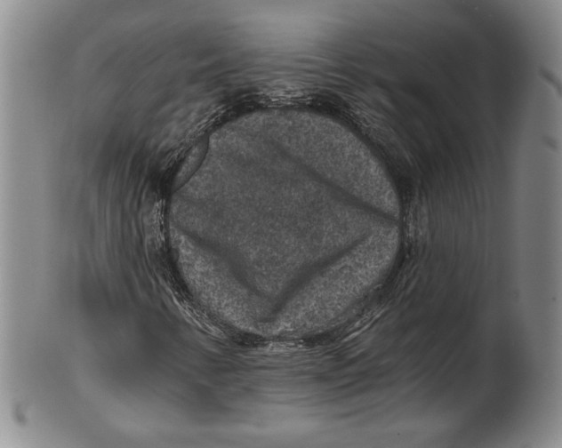 X0000101971346200808081541