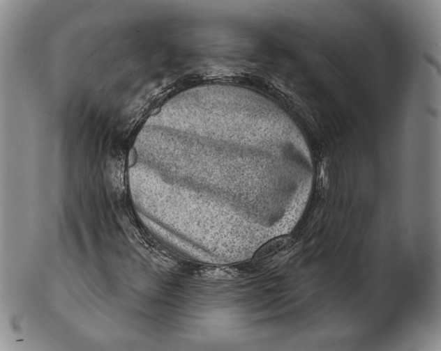 X0000101971348200808081541