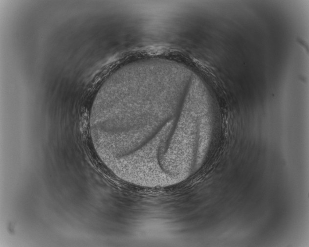 X0000101971349200808081541