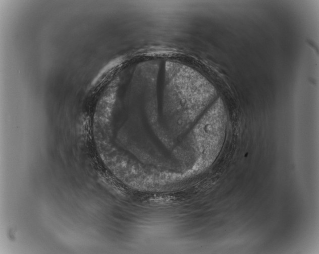 X0000101971351200808081541