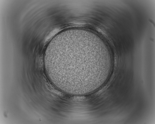 X0000101971354200808081541
