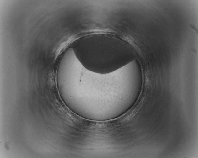 X0000101971357200808081541