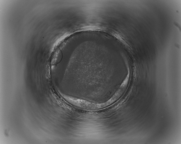 X0000101971358200808081541