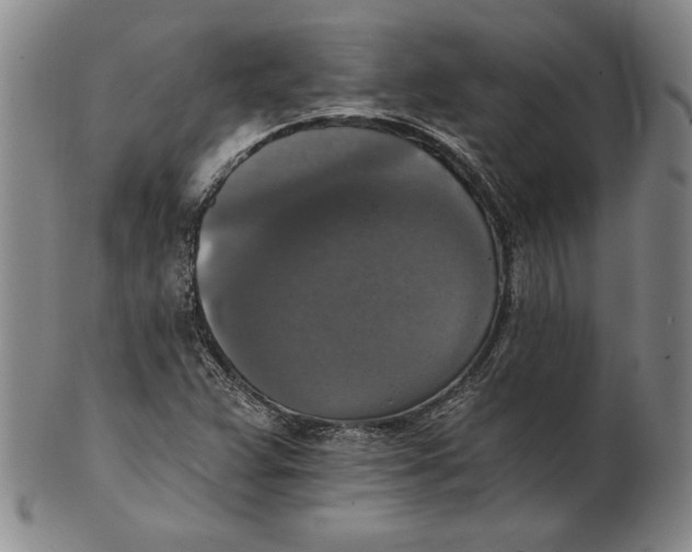 X0000101971359200808081541