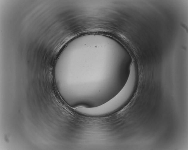 X0000101971361200808081541