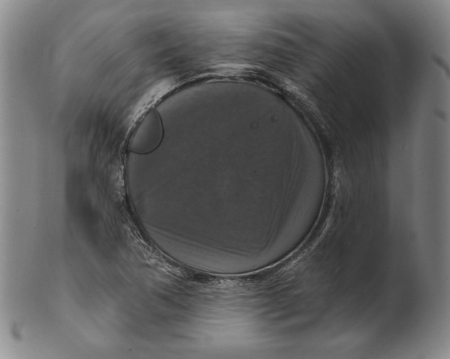 X0000101971362200808081541