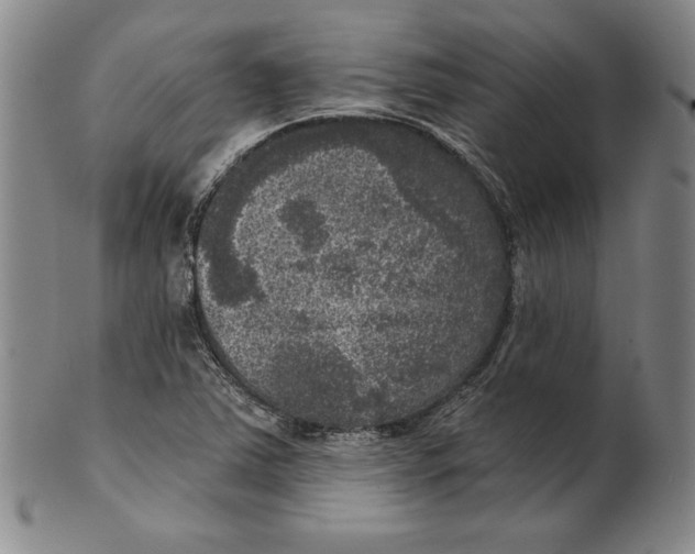 X0000101971363200808081541